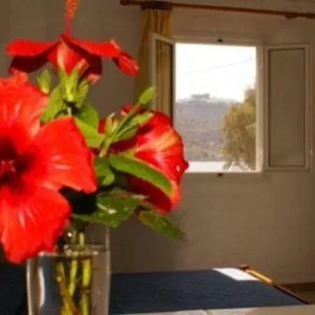 Apartman Fotini Strata *