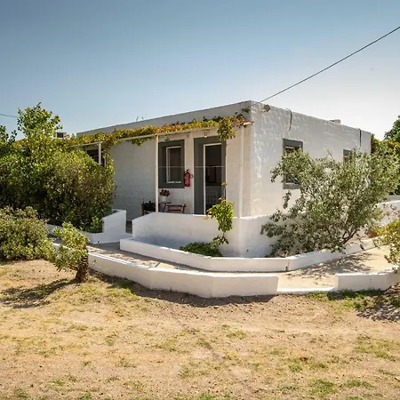 Apartman Fotini Strata